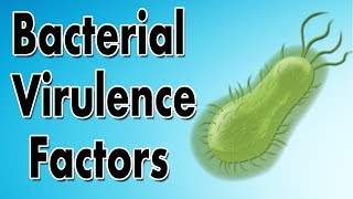 Bacterial Virulence Factors [upl. by Ridinger]