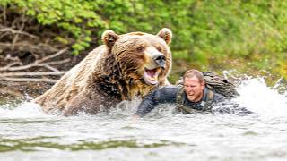 Grizzly Bear Kills amp Drowns Hunter on October 6th 2024 [upl. by Bast627]