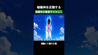 破壊神を圧倒する身勝手の極意サイヤ人！ ドラゴンボール dragonball [upl. by Ahsiaa27]