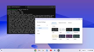 How to Open Linux Terminal on Chromebook [upl. by Rafat]