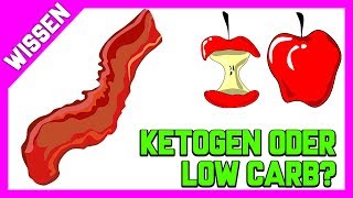 Ketogen vs Low Carb  Unterschiede  Wie viele Carbs brauchen wir [upl. by Anilrac891]