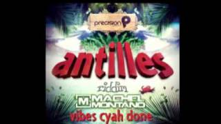 Machel Montano  Vibes Cyah Done Antilles Riddim 2012 [upl. by Noevart]