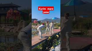 Kurim mare yena new santali songsantalishortsshortsfeedtrending songsantali viral songdance [upl. by Phillis]