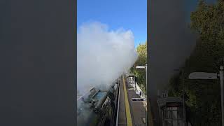 Merchant Navy no 35028 British Pullman passes Selling 24 October 2024 [upl. by Letnwahs]