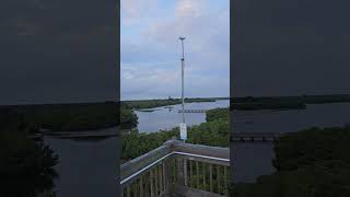 Weedon Island Preserve florida 360°view board walk park 8k [upl. by Aneeras634]