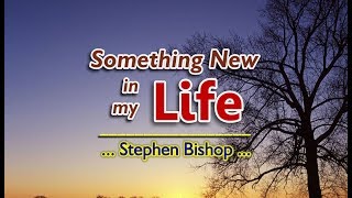 Something New In My Life  Stephen Bishop KARAOKE VERSION [upl. by Akkim]