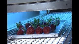 Ultraviolet light could extend shelf life of food and reduce waste [upl. by Layod]