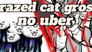 ĐÁNH BẠI CRAZED CAT GROSS NO UBER NO CHEAT NO FOR NEWBIE [upl. by Eerol58]