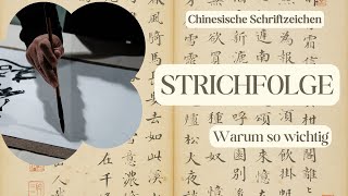 Warum die richtige Strichfolge für das Lernen chinesischer Schriftzeichen entscheidend ist [upl. by Annovaj]