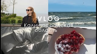 VLOG  Поездка в Калининградскую область  море еда наслаждение новые места [upl. by Ahsea61]