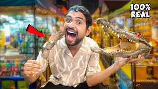 Eating Real Crocodile🥵कमज़ोर दिल वाले ना देखें  Thailand Food [upl. by Eitsyrk]