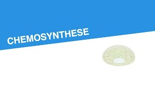 CHEMOSYNTHESE  Biologie  Stoffwechselbiologie [upl. by Aeriel]