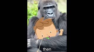 Harambes Solo act Harambe Forever Song [upl. by Aynodal]