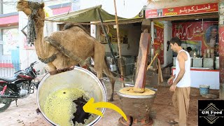 Extracting YELLOW MUSTARD OIL with a CAMEL is the craziest thing ever  Traditional Oil Making [upl. by Volotta]