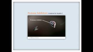 How HCV protease inhibitors work [upl. by Ahsielat]