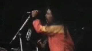 Bob Marley amp The Wailers Munich 1980 [upl. by Olpe393]