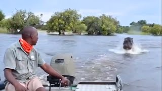 Tourists Escaping a Hippo Chase on Boat Safari [upl. by Fagaly]