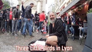 Three little birds in Lyon Ajax [upl. by Sollows]