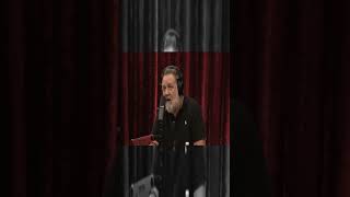 Russel Crow Joe Rogan Experience [upl. by Anette]