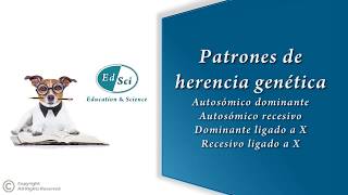 ✳️ Patrones de herencia genética 🧬👨‍👩‍👧‍👦🔍 [upl. by Gerger]