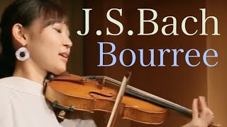 【教本シリーズ】JSバッハ ブーレ Bourree 新しいヴァイオリン教本３より 54 Yu Mashiko [upl. by Inoy382]