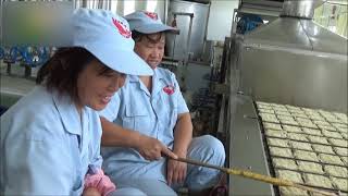 Fried Instant Noodles Manufacturing PlantInstant Noodles Production Line [upl. by Pail]