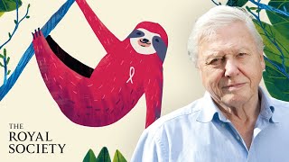 Why is biodiversity important  with Sir David Attenborough  The Royal Society [upl. by Anihta]