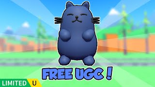 FREE UGC LIMITED HOW TO GET BLUE KITTEN SHOULD PAL in KITTEN TYCOON Roblox [upl. by Carolynne]