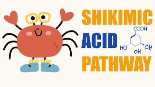 Shikimic acid pathway  pharmacognosy 1 [upl. by Schilt]