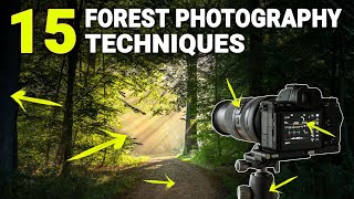 HOW TO PHOTOGRAPH FORESTS [upl. by Llemij]