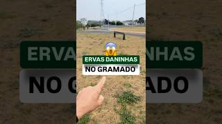 Como eliminar mato na grama vídeo completo no Instagram [upl. by Siusan]