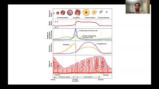 MCAT Biology The Menstrual Cycle [upl. by Airtemak572]