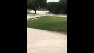 Flooding of Rowlett Creek on Firewheel [upl. by Cletis]