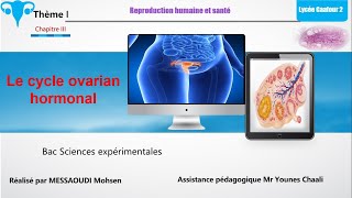 Le cycle ovarien hormonal [upl. by Sidnak114]