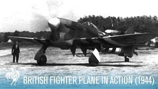 British RAF Hawker Tempest Fighter Plane in Action 1944  British Pathé [upl. by Grady706]