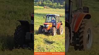 TAFE 7515 CAB in action in the fields of Bosnia amp Herzegovina [upl. by Nettirb]