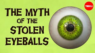 The myth of the stolen eyeballs  Nathan D Horowitz [upl. by Akit]