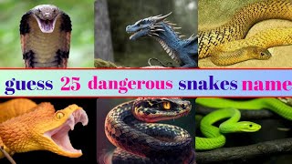 GUES THE 25 DANGEROUS SNAKES NAME BY PIC [upl. by Einreb]