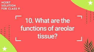 NCERT Class 9 Science Chapter 6  What are the functions of areolar tissue [upl. by Mobley]