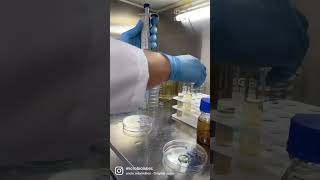 Diluciones seriadas base 10 para Microbiologia [upl. by Chafee]