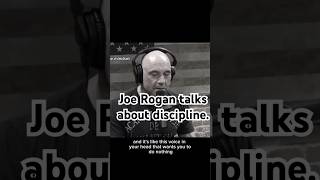 Joe Rogan talks about discipline [upl. by Alysoun593]