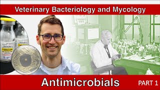 Antimicrobials Part 1  Veterinary Bacteriology and Mycology [upl. by Tommie171]