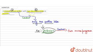 A monothecous anther with two microsporangia is found in  12  SEXUAL REPRODUCTION IN FLO [upl. by Bette]