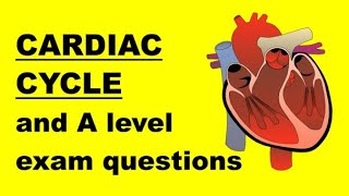 CARDIAC CYCLE and ELECTROCARDIOGRAM ECG TRACES [upl. by Enecnarf366]