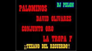 Dj Pelon TEXANO DEL RECUERDO 2013 MIX [upl. by Tterag580]