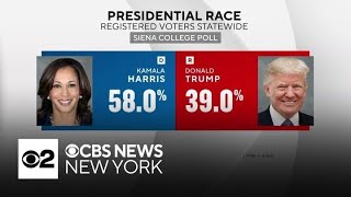 Kamala Harris opens 19point lead on Donald Trump in New York new poll says [upl. by Anertac783]