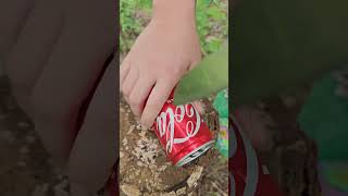 Single mom with make mosquito repellent skills camping singlemom bushcraft outdoors skills [upl. by Alane288]