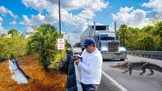 The MOST DANGEROUS Fishing Spot in Florida Tamiami Trail Bass Snook Tarpon Fishing [upl. by Fotina114]