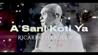 Ricardo Harderwijk  A Sani Koti Ya Official Video Clip [upl. by Tristis]