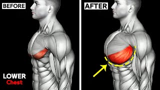 THE ONLY 10 Lower Chest Exercises You Need 🔥 [upl. by Basso]